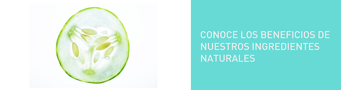 Conoce los beneficios de nuestros ingredientes naturales
