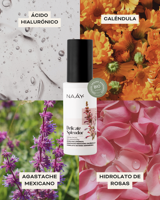 Delicate Splendor | Crema Recuperadora Calmante | Antiage